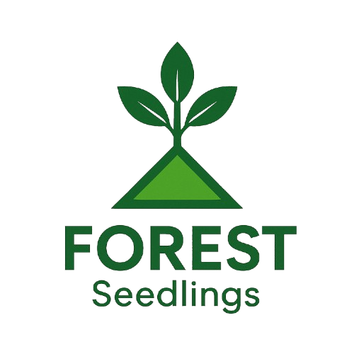 FOREST Seedlings Logo